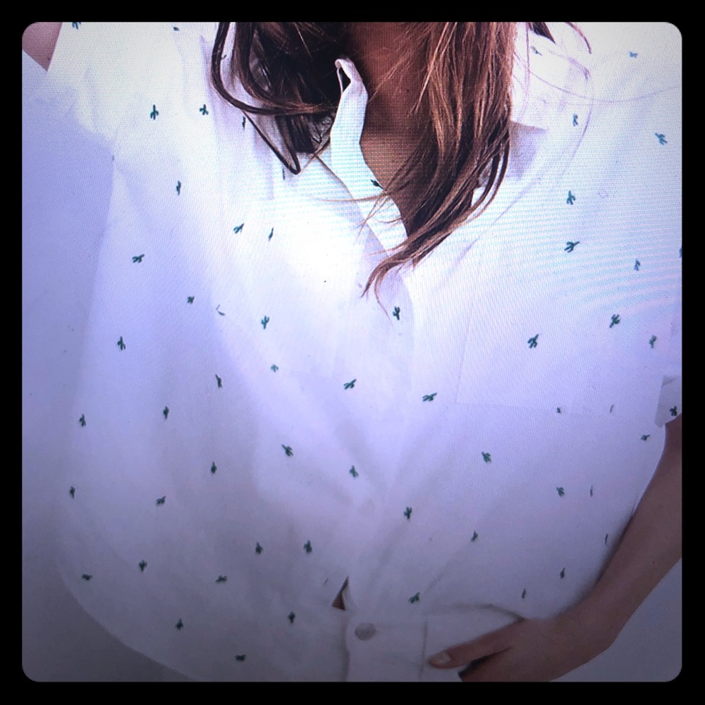 Embroidered Cactus Madewell Courier Shirt